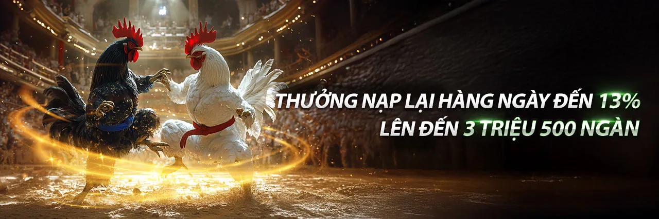 Đá gà trực tiếp 388 tại SV388 với không khí sôi động